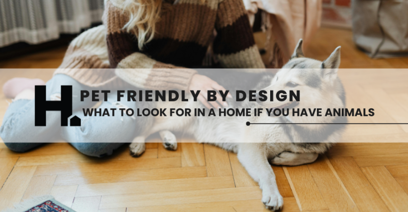 Pet-Friendly by Design: What to Look for in a Home When You Have Animals